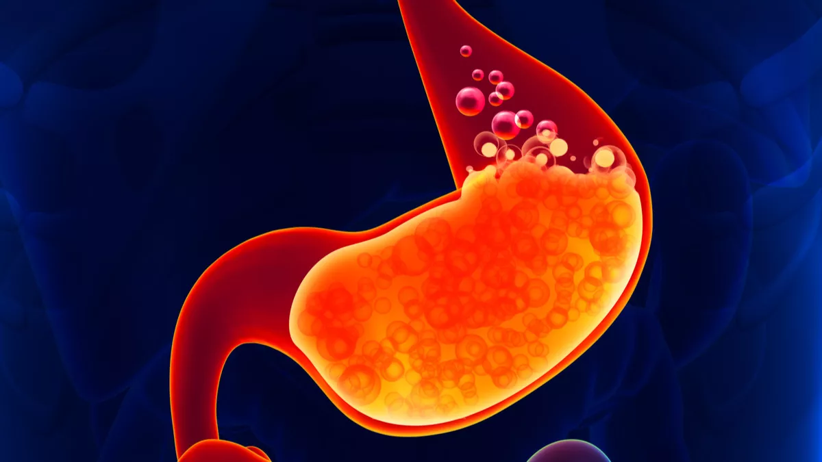 Asam Lambung Di Kalimantan Gejala, Pemicu & Solusi Perut Nyaman